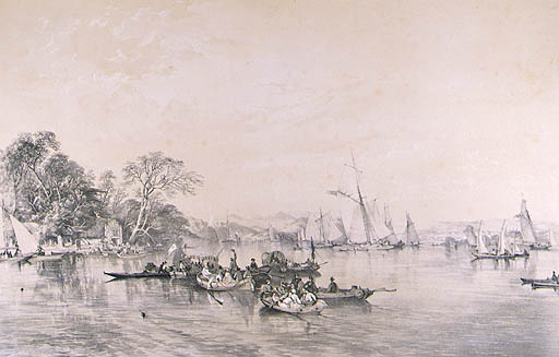 Regatta